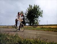 Кадр Мелочи жизни