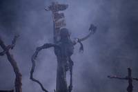 Кадр Повелители Салема