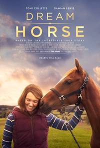 Постер Лошадь мечты