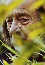 Альберт Видаль фото