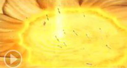 Промо-ролик