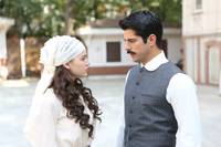 Кадр Королёк – птичка певчая