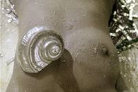 Кадр Цвет граната