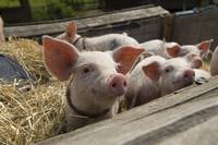 Кадр Моя ужасная няня : Большой бум