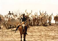 Кадр Туки-Буки