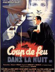 Coup de feu dans la nuit