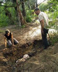 Кадр Остаться в живых