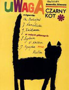 Черный котенок