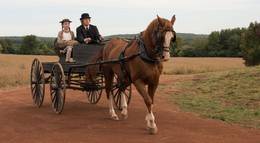 Кадр из фильма "Энн" - 2