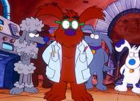 Кадр Секретные материалы псов-шпионов