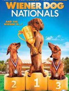 Чемпионат страны среди такс