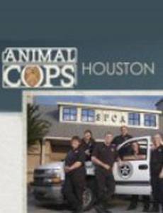 Полиция Хьюстона: Отдел по защите животных