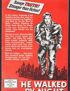 Он бродил по ночам