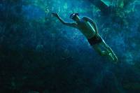 Кадр Рай океана