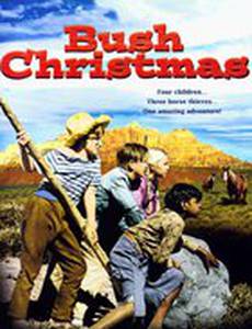 Рождество в буше