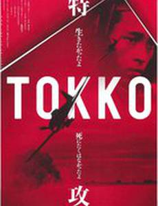 Крылья поражения