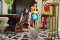 Кадр Девять жизней