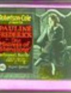 The Mistress of Shenstone