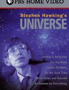 Вселенная Стивена Хокинга (мини-сериал)