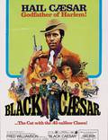 Постер из фильма "Чёрный цезарь" - 1
