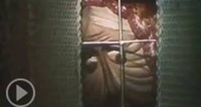 Мультфильм 