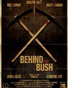Behind the Bush