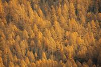 Кадр Счастливые люди