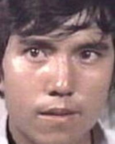 Йинг Ли фото