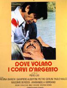 Где летают серебристые вороны