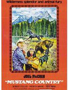 Страна мустангов