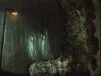 Кадр Сказка сказок