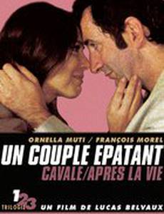 Удивительная пара