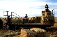 Кадр Безмолвный свет