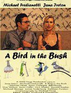 A Bird in the Bush