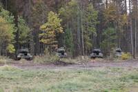 Кадр Белый тигр