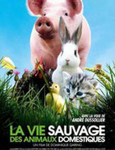 Дикая природа домашних животных