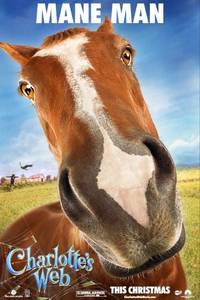 Постер Паутина Шарлотты