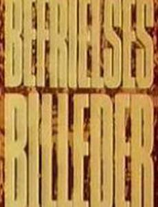 Картины освобождения