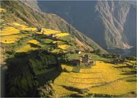 Кадр Поваккатси