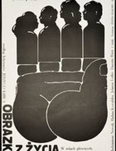 Картинки из жизни