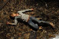 Кадр Грибы 3D