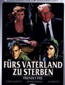 Дружественный огонь