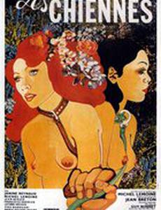 Les chiennes