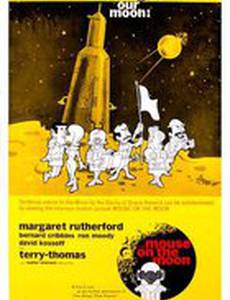 Мышь на Луне