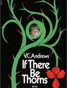 Сквозь тернии