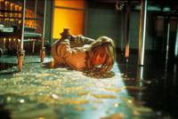 Кадр Ночной сторож