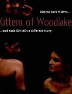 Kittens of Woodlake