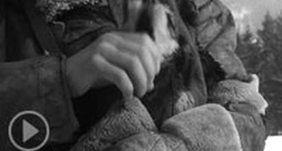 Немецкий DVD-трейлер (сезон 1)