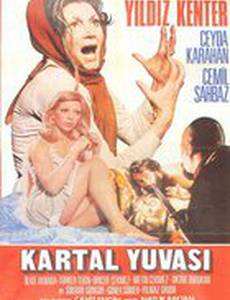 Гнездо ястреба