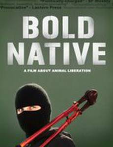 Bold Native